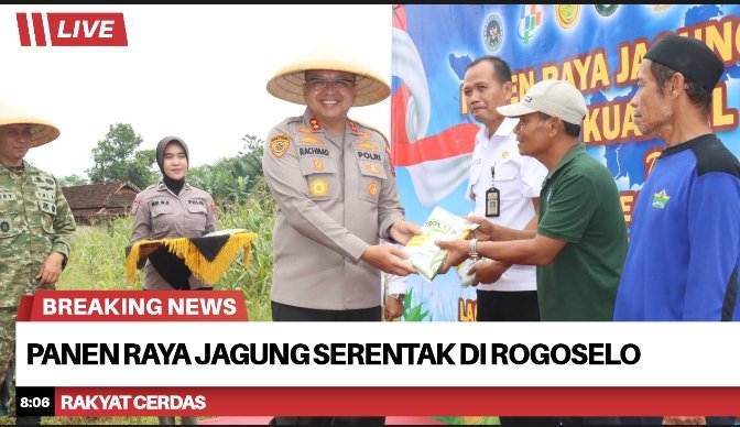 Panen Raya Jagung Serentak di Rogoselo, Sinergi Polri dan Pemkab Pekalongan Perkuat Ketahanan Pangan Nasional