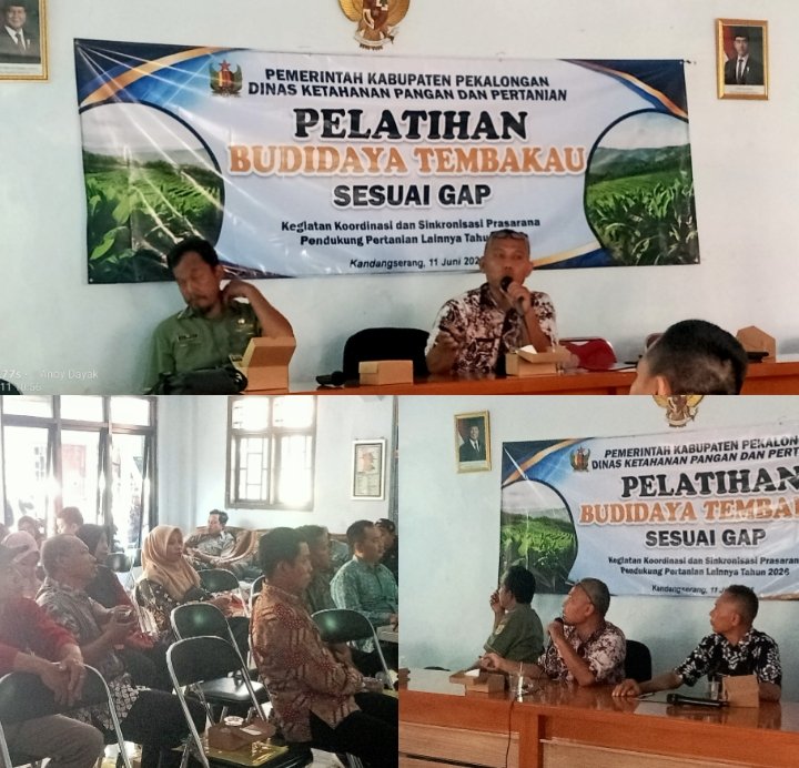Pelatihan Budidaya Tembakau Sesuai GAP, Pemkab Pekalongan Perkuat Kapasitas Petani Hadapi Tantangan Pertanian Modern