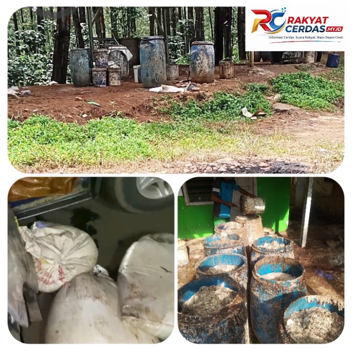 Skandal Getah Pinus TPG Sitatah Melebar, Dugaan Barang Bukti “Diganti” Picu Kecurigaan Publik