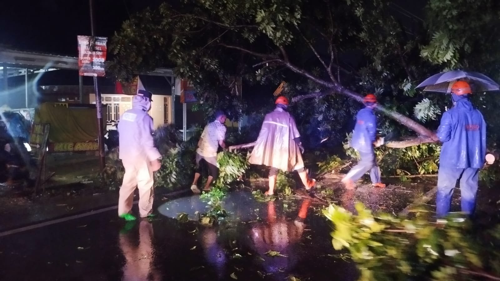 Pohon Tumbang di Babalanlor Dievakuasi Cepat, Sinergi Aparat dan Relawan Cegah Gangguan Lebih Besar