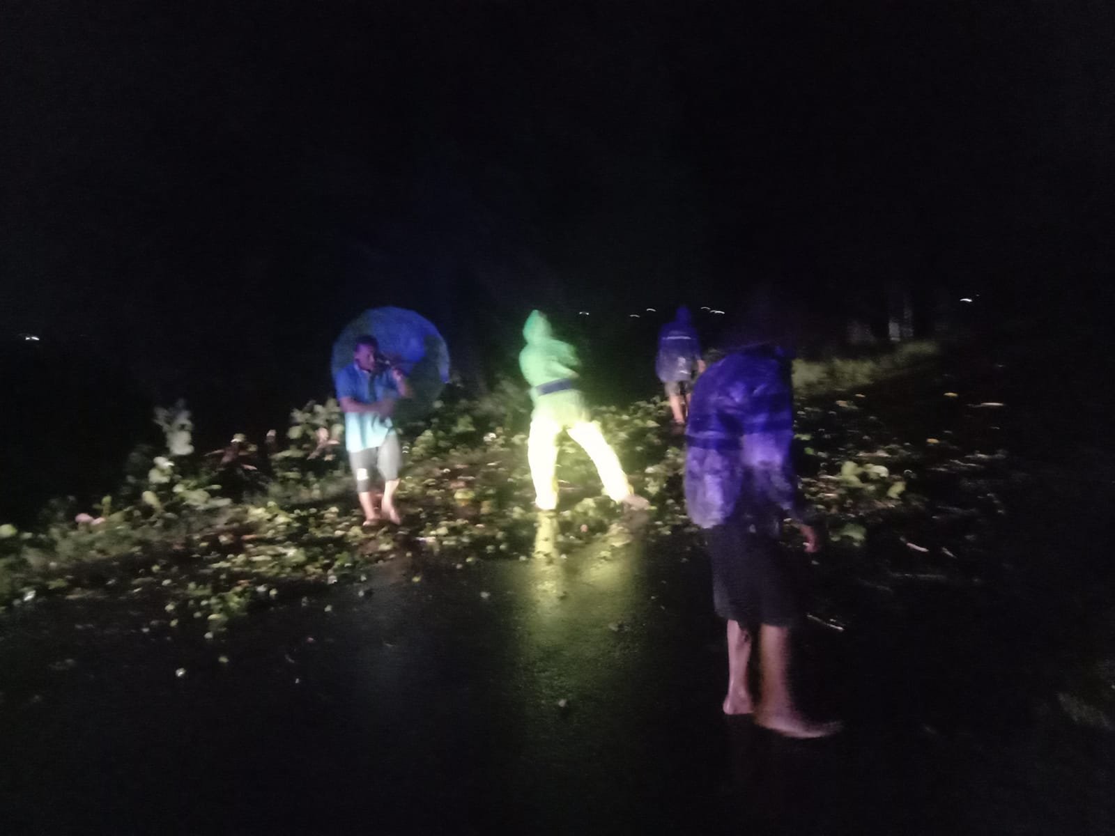 Cuaca Ekstrem Picu Dahan Ketapang Tumbang di Jalur Sragi–Pait, Polisi dan Warga Sigap Bersihkan