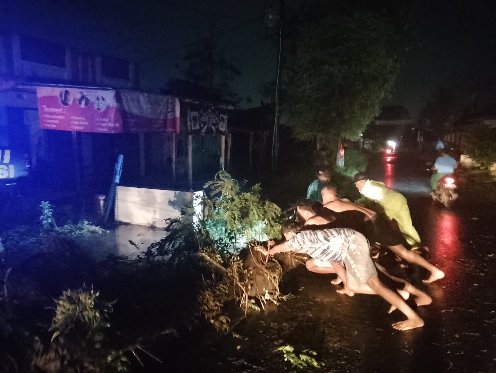 Pohon Tumbang Akibat Hujan dan Angin di Karangdadap Sempat Lumpuhkan Akses Jalan, Polisi Bertindak Cepat