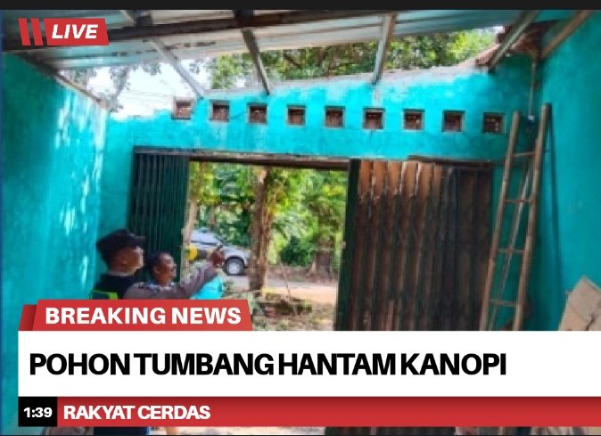 Pohon Johar Tumbang Dini Hari, Hantam Kanopi Garasi Warga di Karanganyar